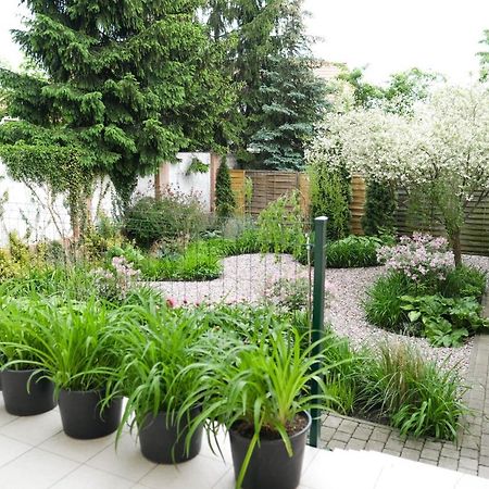 Apartamenty Mragowo Warszawska Cudo Studio מראה חיצוני תמונה