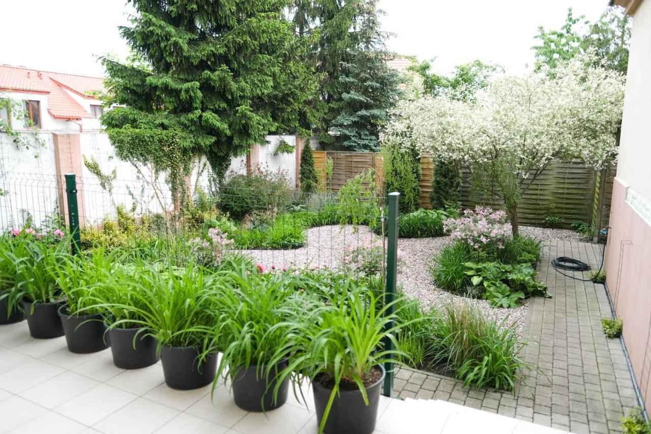 Apartamenty Mragowo Warszawska Cudo Studio מראה חיצוני תמונה